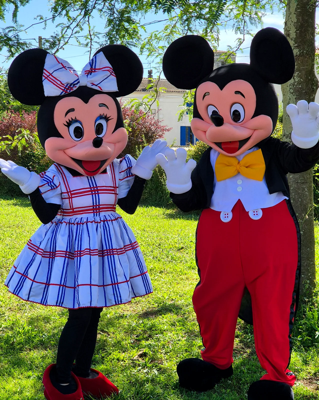 Mascottes Mickey et Minnie CALL Prod